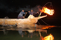 長良川魚鷹漁火