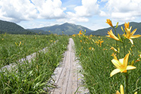 尾瀨國立公園