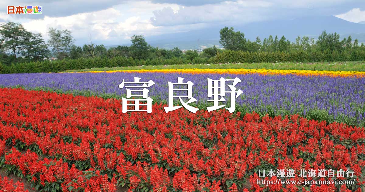 薰衣草季節遊北海道花鄉富良野 富良野花田景點富田農場 富良野薰衣草園 富良野日出公園巡遊 日本漫遊