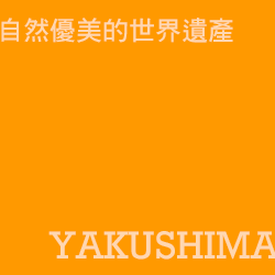 屋久島 yakushima