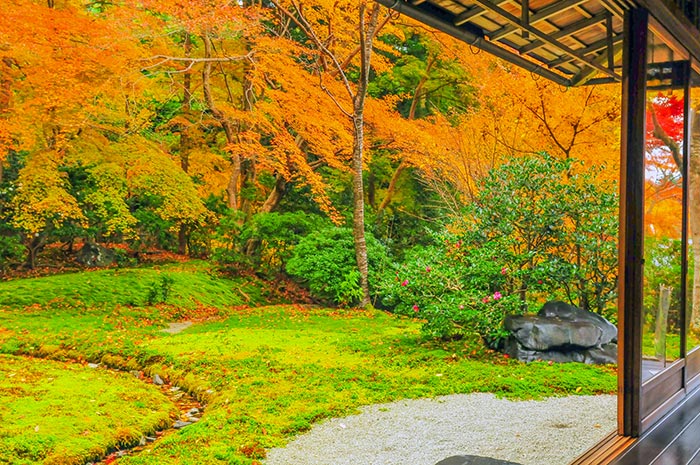 京都瑠璃光院 京都紅葉絕景 庭院紅葉美景輝映驚呆遊人 京都洛北大原 鞍馬 貴船景點推薦 日本京都景點介紹 日本漫遊