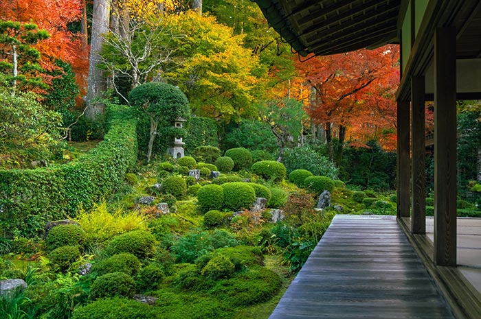 京都大原三千院-滿園青苔美景令人心曠神怡！遊覽京都大原田原風光中的