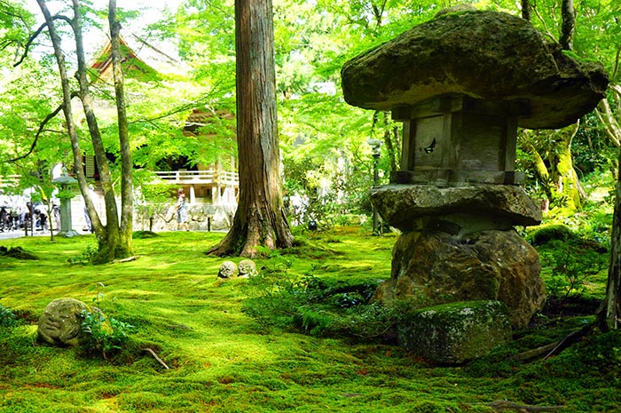 京都大原三千院-滿園青苔美景令人心曠神怡！遊覽京都大原田原風光中的