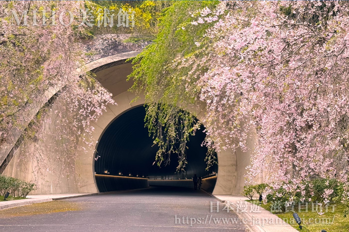 通往MIHO美術館展廳的隧道入口